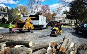 Best Lawn Pest Prevention  in Keyes, CA