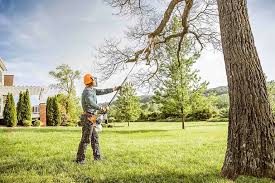 Best Utility Line Clearance  in Keyes, CA